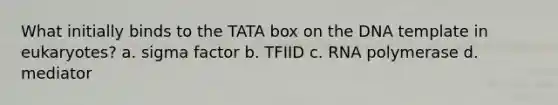 What initially binds to the TATA box on the DNA template in eukaryotes? a. sigma factor b. TFIID c. RNA polymerase d. mediator