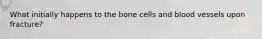 What initially happens to the bone cells and blood vessels upon fracture?