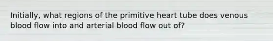 Initially, what regions of the primitive heart tube does venous blood flow into and arterial blood flow out of?