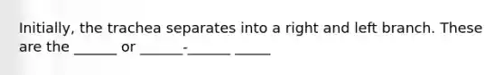 Initially, the trachea separates into a right and left branch. These are the ______ or ______-______ _____