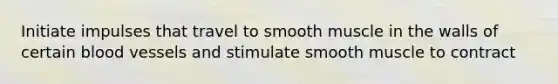 Initiate impulses that travel to smooth muscle in the walls of certain blood vessels and stimulate smooth muscle to contract