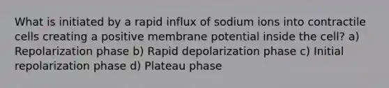 What is initiated by a rapid influx of sodium ions into contractile cells creating a positive membrane potential inside the cell? a) Repolarization phase b) Rapid depolarization phase c) Initial repolarization phase d) Plateau phase