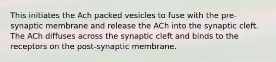 This initiates the Ach packed vesicles to fuse with the pre-synaptic membrane and release the ACh into the synaptic cleft. The ACh diffuses across the synaptic cleft and binds to the receptors on the post-synaptic membrane.