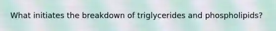 What initiates the breakdown of triglycerides and phospholipids?