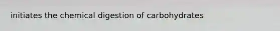 initiates the chemical digestion of carbohydrates