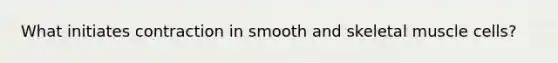 What initiates contraction in smooth and skeletal muscle cells?