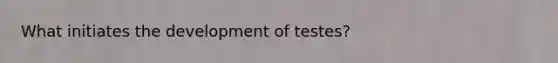 What initiates the development of testes?