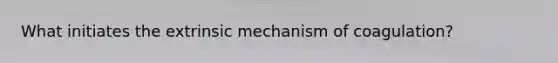 What initiates the extrinsic mechanism of coagulation?