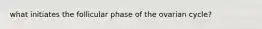 what initiates the follicular phase of the ovarian cycle?