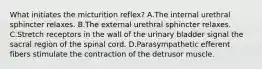 What initiates the micturition reflex? A.The internal urethral sphincter relaxes. B.The external urethral sphincter relaxes. C.Stretch receptors in the wall of the urinary bladder signal the sacral region of the spinal cord. D.Parasympathetic efferent fibers stimulate the contraction of the detrusor muscle.