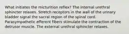 What initiates the micturition reflex? The internal urethral sphincter relaxes. Stretch receptors in the wall of the urinary bladder signal the sacral region of the spinal cord. Parasympathetic efferent fibers stimulate the contraction of the detrusor muscle. The external urethral sphincter relaxes.