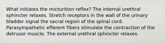 What initiates the micturition reflex? The internal urethral sphincter relaxes. Stretch receptors in the wall of the urinary bladder signal the sacral region of the spinal cord. Parasympathetic efferent fibers stimulate the contraction of the detrusor muscle. The external urethral sphincter relaxes.