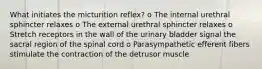 What initiates the micturition reflex? o The internal urethral sphincter relaxes o The external urethral sphincter relaxes o Stretch receptors in the wall of the urinary bladder signal the sacral region of the spinal cord o Parasympathetic efferent fibers stimulate the contraction of the detrusor muscle