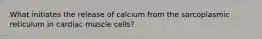 What initiates the release of calcium from the sarcoplasmic reticulum in cardiac muscle cells?