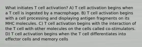 What initiates T cell activation? A) T cell activation begins when a T cell is ingested by a macrophage. B) T cell activation begins with a cell processing and displaying antigen fragments on its MHC molecules. C) T cell activation begins with the interaction of the T cell with other molecules on the cells called co-stimulators. D) T cell activation begins when the T cell differentiates into effector cells and memory cells