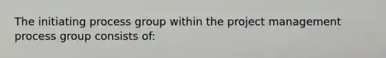 The initiating process group within the project management process group consists of: