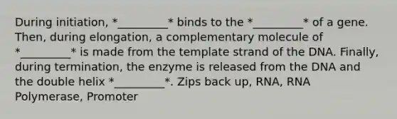 During initiation, *_________* binds to the *_________* of a gene. Then, during elongation, a complementary molecule of *_________* is made from the template strand of the DNA. Finally, during termination, the enzyme is released from the DNA and the double helix *_________*. Zips back up, RNA, RNA Polymerase, Promoter