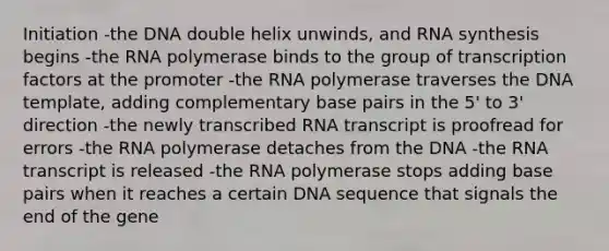 Initiation -the DNA double helix unwinds, and RNA synthesis begins -the RNA polymerase binds to the group of transcription factors at the promoter -the RNA polymerase traverses the DNA template, adding complementary base pairs in the 5' to 3' direction -the newly transcribed RNA transcript is proofread for errors -the RNA polymerase detaches from the DNA -the RNA transcript is released -the RNA polymerase stops adding base pairs when it reaches a certain DNA sequence that signals the end of the gene