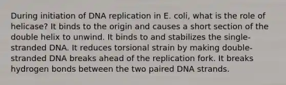 During initiation of DNA replication in E. coli, what is the role of helicase? It binds to the origin and causes a short section of the double helix to unwind. It binds to and stabilizes the single-stranded DNA. It reduces torsional strain by making double-stranded DNA breaks ahead of the replication fork. It breaks hydrogen bonds between the two paired DNA strands.