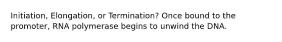 Initiation, Elongation, or Termination? Once bound to the promoter, RNA polymerase begins to unwind the DNA.