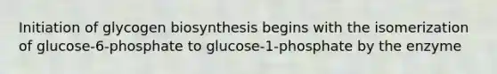 Initiation of glycogen biosynthesis begins with the isomerization of glucose-6-phosphate to glucose-1-phosphate by the enzyme