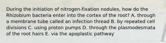 During the initiation of nitrogen-fixation nodules, how do the Rhizobium bacteria enter into the cortex of the root? A. through a membrane tube called an infection thread B. by repeated cell divisions C. using proton pumps D. through the plasmodesmata of the root hairs E. via the apoplastic pathway