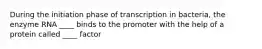 During the initiation phase of transcription in bacteria, the enzyme RNA ____ binds to the promoter with the help of a protein called ____ factor