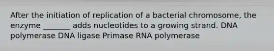 After the initiation of replication of a bacterial chromosome, the enzyme _______ adds nucleotides to a growing strand. DNA polymerase DNA ligase Primase RNA polymerase