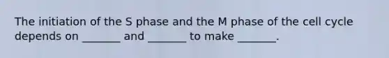 The initiation of the S phase and the M phase of the cell cycle depends on _______ and _______ to make _______.