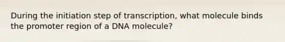 During the initiation step of transcription, what molecule binds the promoter region of a DNA molecule?