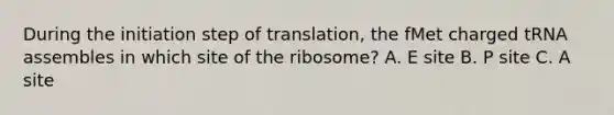 During the initiation step of translation, the fMet charged tRNA assembles in which site of the ribosome? A. E site B. P site C. A site