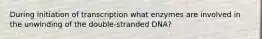 During initiation of transcription what enzymes are involved in the unwinding of the double-stranded DNA?