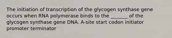 The initiation of transcription of the glycogen synthase gene occurs when RNA polymerase binds to the _______ of the glycogen synthase gene DNA. A-site start codon initiator promoter terminator