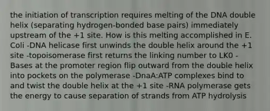 the initiation of transcription requires melting of the DNA double helix (separating hydrogen-bonded base pairs) immediately upstream of the +1 site. How is this melting accomplished in E. Coli -DNA helicase first unwinds the double helix around the +1 site -topoisomerase first returns the linking number to LK0 -Bases at the promoter region flip outward from the double helix into pockets on the polymerase -DnaA:ATP complexes bind to and twist the double helix at the +1 site -RNA polymerase gets the energy to cause separation of strands from ATP hydrolysis