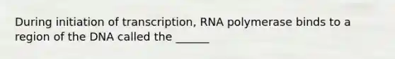 During initiation of transcription, RNA polymerase binds to a region of the DNA called the ______