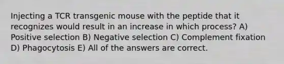 Injecting a TCR transgenic mouse with the peptide that it recognizes would result in an increase in which process? A) Positive selection B) Negative selection C) Complement fixation D) Phagocytosis E) All of the answers are correct.