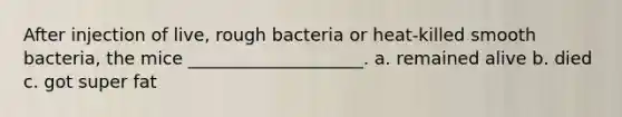 After injection of live, rough bacteria or heat-killed smooth bacteria, the mice ____________________. a. remained alive b. died c. got super fat