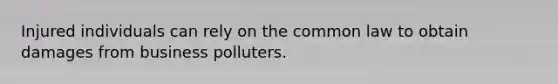 Injured individuals can rely on the common law to obtain damages from business polluters.