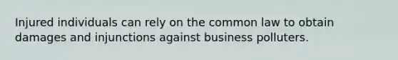 Injured individuals can rely on the common law to obtain damages and injunctions against business polluters.