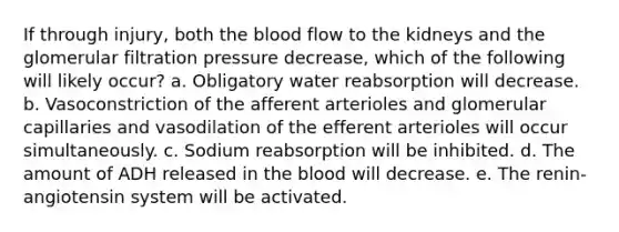 If through injury, both <a href='https://www.questionai.com/knowledge/k7oXMfj7lk-the-blood' class='anchor-knowledge'>the blood</a> flow to the kidneys and the glomerular filtration pressure decrease, which of the following will likely occur? a. Obligatory water reabsorption will decrease. b. Vasoconstriction of the afferent arterioles and glomerular capillaries and vasodilation of the efferent arterioles will occur simultaneously. c. Sodium reabsorption will be inhibited. d. The amount of ADH released in the blood will decrease. e. The renin-angiotensin system will be activated.