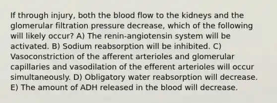 If through injury, both <a href='https://www.questionai.com/knowledge/k7oXMfj7lk-the-blood' class='anchor-knowledge'>the blood</a> flow to the kidneys and the glomerular filtration pressure decrease, which of the following will likely occur? A) The renin-angiotensin system will be activated. B) Sodium reabsorption will be inhibited. C) Vasoconstriction of the afferent arterioles and glomerular capillaries and vasodilation of the efferent arterioles will occur simultaneously. D) Obligatory water reabsorption will decrease. E) The amount of ADH released in the blood will decrease.