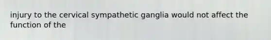 injury to the cervical sympathetic ganglia would not affect the function of the