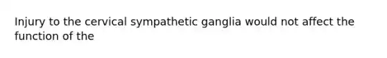 Injury to the cervical sympathetic ganglia would not affect the function of the