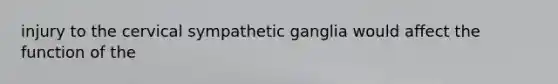 injury to the cervical sympathetic ganglia would affect the function of the