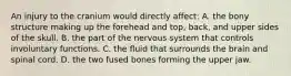 An injury to the cranium would directly​ affect: A. the bony structure making up the forehead and​ top, back, and upper sides of the skull. B. the part of the nervous system that controls involuntary functions. C. the fluid that surrounds the brain and spinal cord. D. the two fused bones forming the upper jaw.