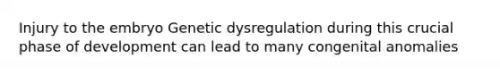 Injury to the embryo Genetic dysregulation during this crucial phase of development can lead to many congenital anomalies