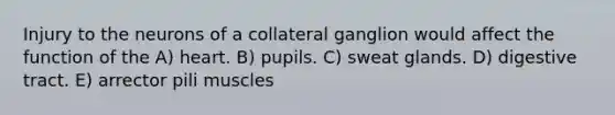 Injury to the neurons of a collateral ganglion would affect the function of the A) heart. B) pupils. C) sweat glands. D) digestive tract. E) arrector pili muscles