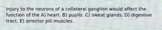 Injury to the neurons of a collateral ganglion would affect the function of the A) heart. B) pupils. C) sweat glands. D) digestive tract. E) arrector pili muscles.