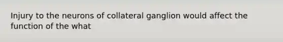 Injury to the neurons of collateral ganglion would affect the function of the what