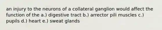 an injury to the neurons of a collateral ganglion would affect the function of the a.) digestive tract b.) arrector pili muscles c.) pupils d.) heart e.) sweat glands